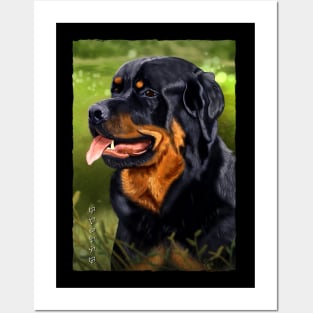 Rottweiler - Black Posters and Art